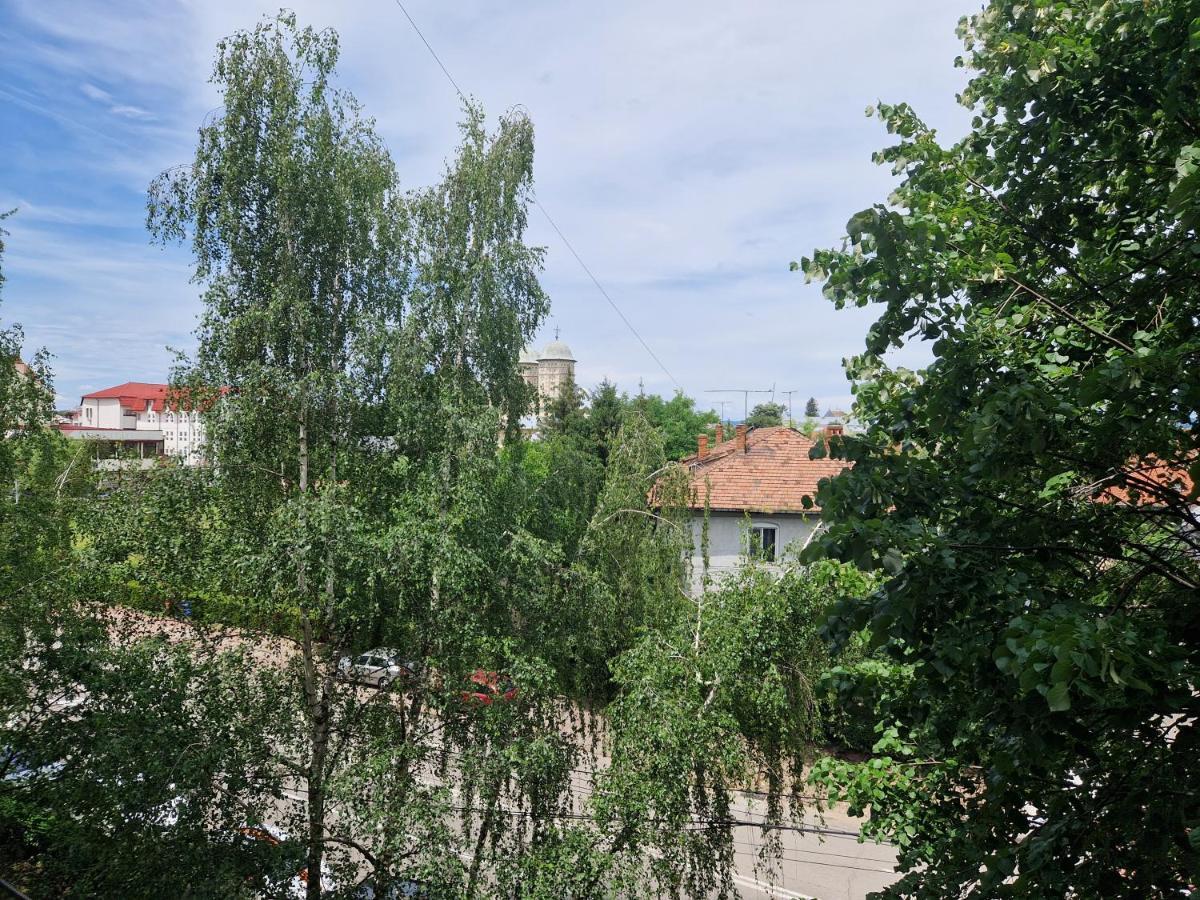 Cozy Appartment In The Center Targoviste Zewnętrze zdjęcie